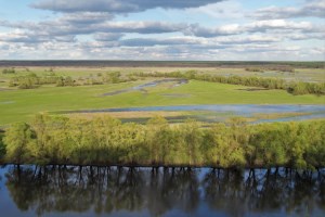 Мезинський національний парк